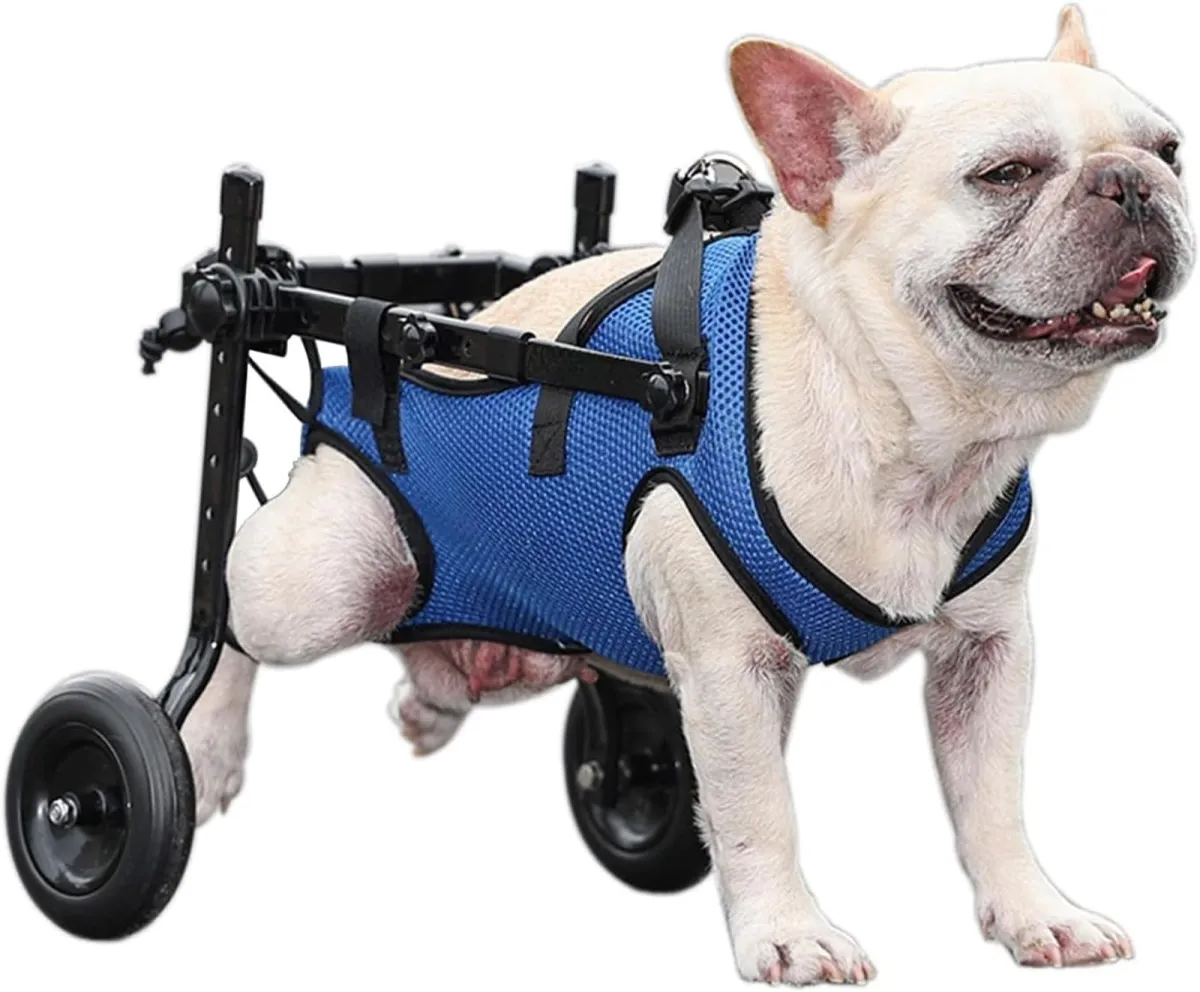 Silla de ruedas para patas traseras de mascotas discapacitadas
