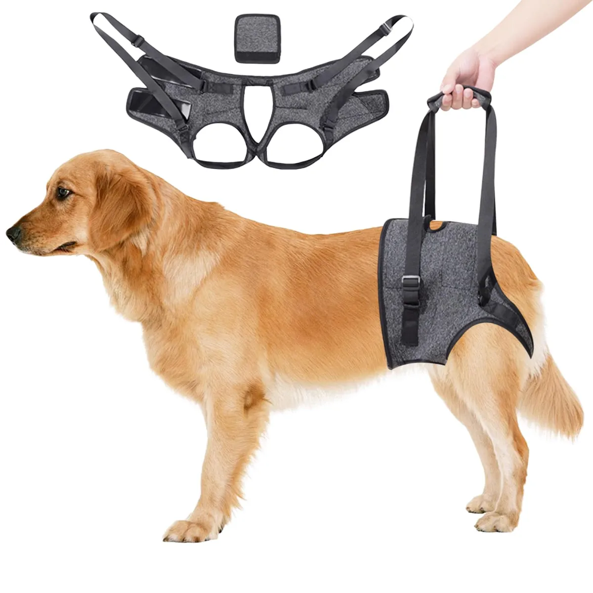 Dokeno Arnés portátil para patas traseras (perros mayores o discapacitados)